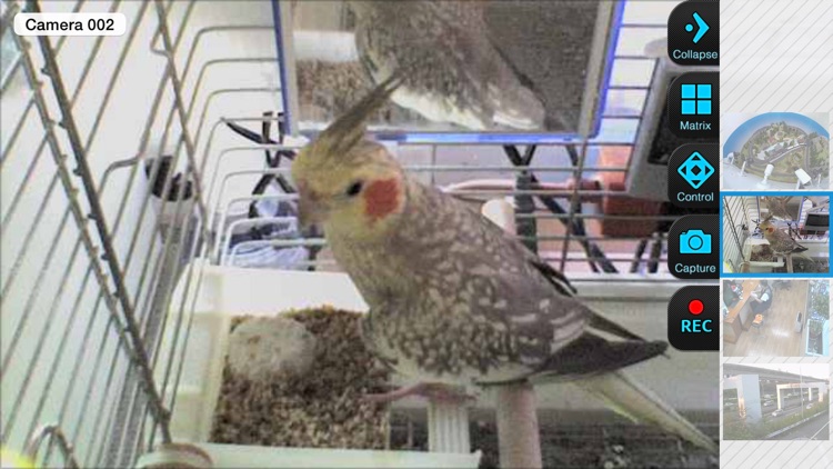 TP-link Camera Viewer