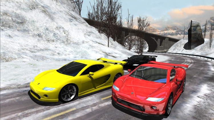 Sports Cars Racing Winter