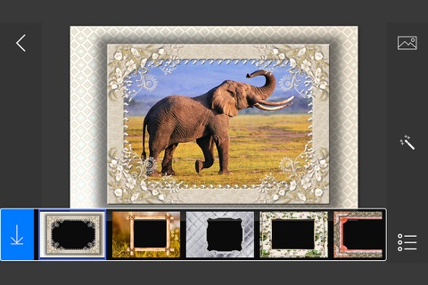 Professional Photo Frames - make eligant and awesome photo using new photo frames screenshot 2