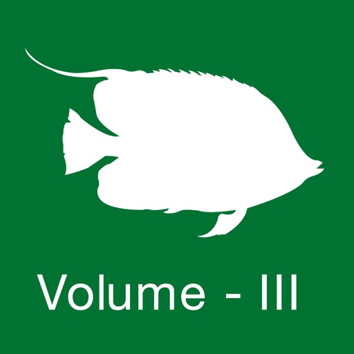 Reef Fishes of the East Indies (Vol. 3)