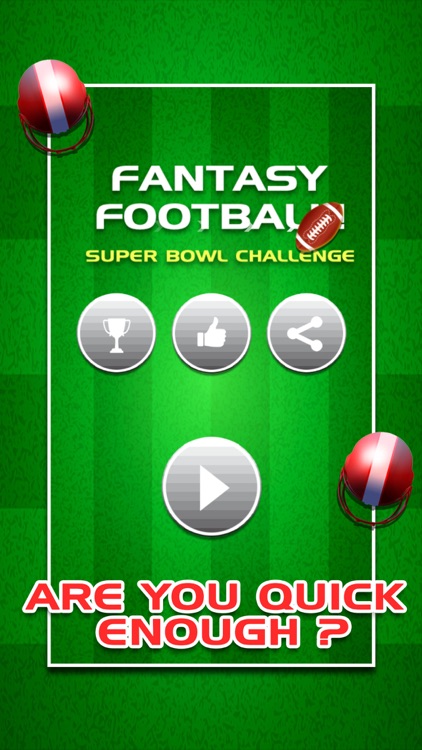 Fantasy Football! Super Bowl Challenge