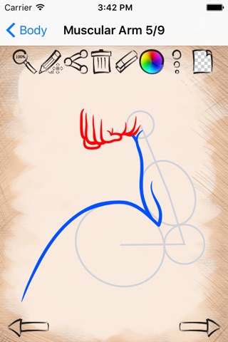 Drawing Lessons Human Body edition screenshot 3