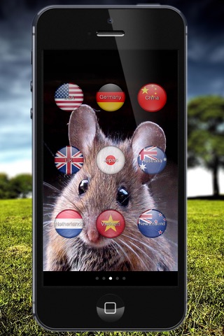 Animal Sounds Translator screenshot 3