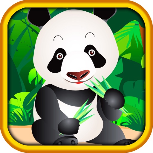 AAA Pop & Win Lucky Rich Panda Hi-Lo (High-Low) Game Blitz Casino Blast Free Icon