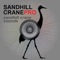 SandHill Crane Calls- SandHill Crane Hunting Call HD