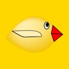 Funny Fat Bird