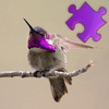Hummingbirds Best Puzzles