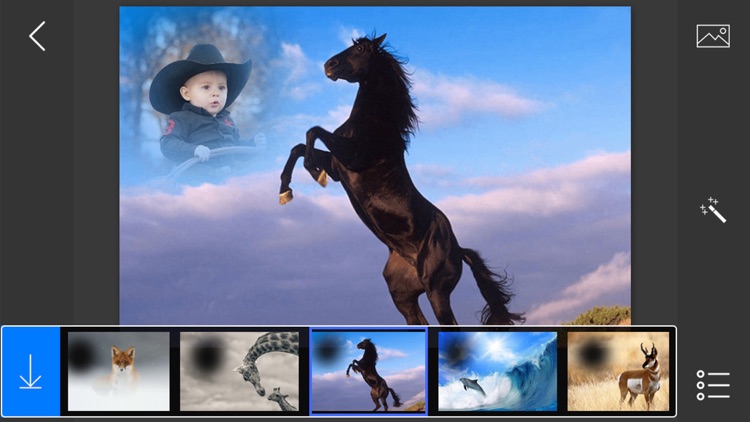 Wildlife Photo Frames - make eligant and awesome photo using new photo frames