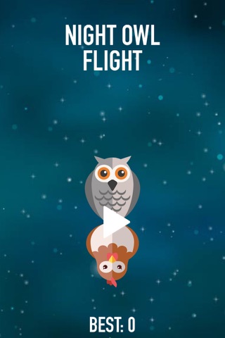 Night Owl Flight screenshot 2