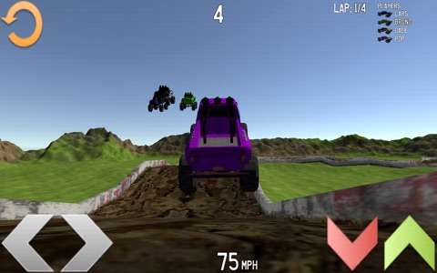 Rugged Race screenshot 3