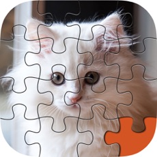 Activities of Animal Puzzle Packs & Bits - Kitty Cat Baby Mermaid Jigsaw