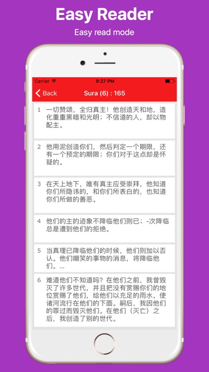 Chinese Quran and Easy Search