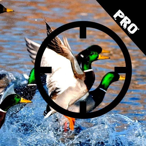 Action Duck Target PRO : Good Hunting iOS App