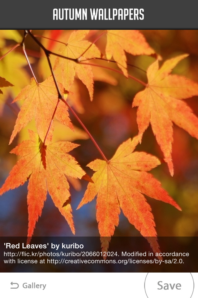 Autumn Wallpapers screenshot 2