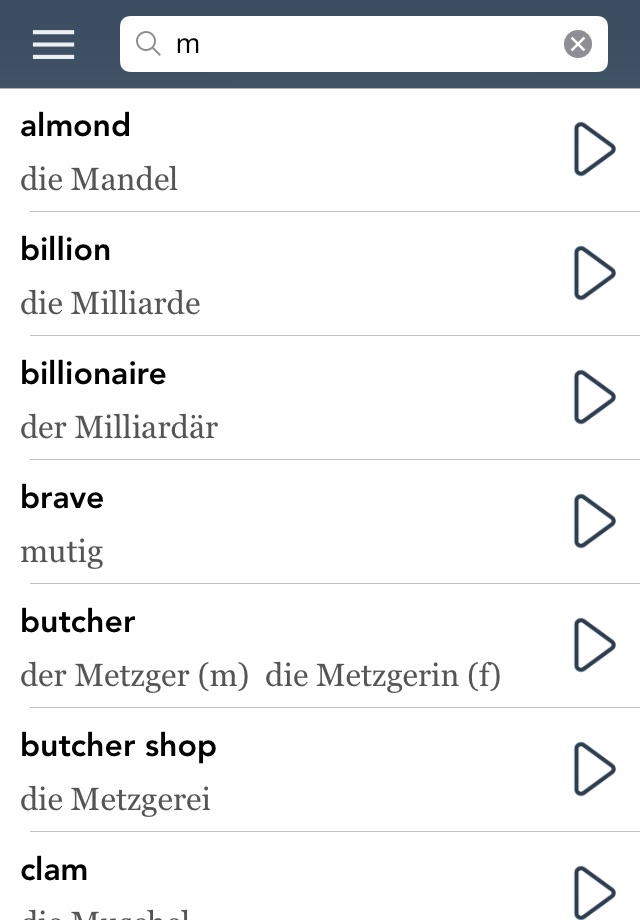 German Essentials screenshot 3