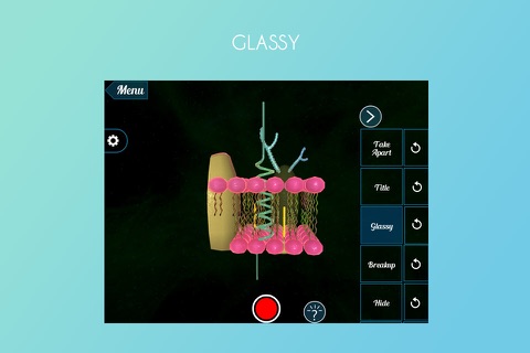 Plasma Membrane 3D screenshot 4