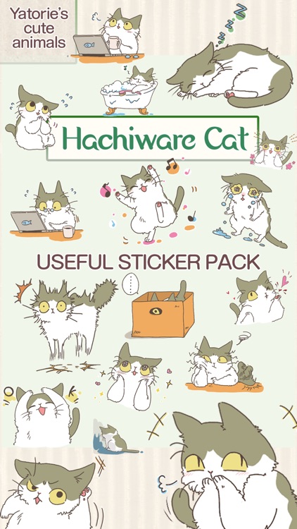 Hachiware Cat