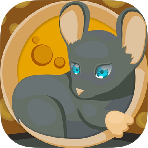 Catch The Mouse - Cheese Maze Icon