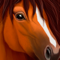 App Icon for Ultimate Horse Simulator App in Denmark IOS App Store