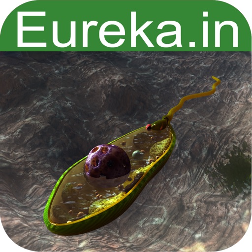 Euglena Icon