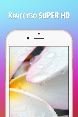 Обои для айфона screenshot 3
