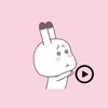 Animated Mola Rabbit stickers pack