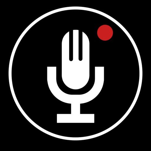 High Quality Voice and Sound Recorder icon