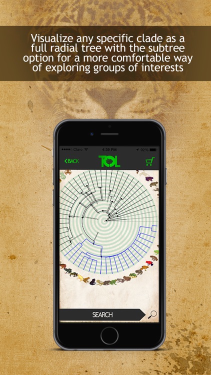 Tree Of Life - PRO screenshot-4