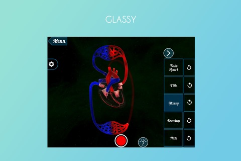 Blood Circulation 3D screenshot 4