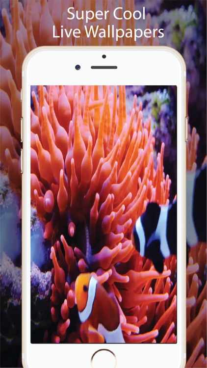 Aquarium Live Wallpapers Lite screenshot-4