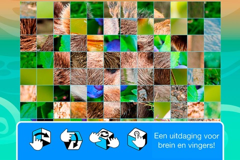 Smart Cubes: forest animals puzzle games for kids screenshot 3