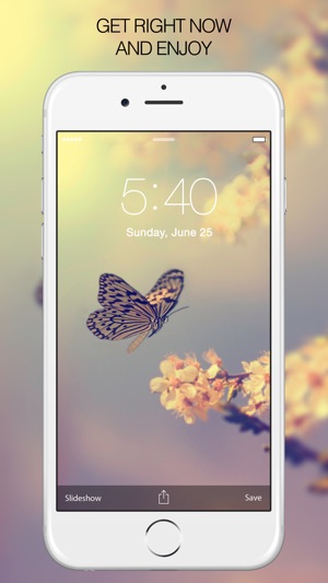 Butterfly Pictures & Butterfly Wallpapers Free(圖5)-速報App