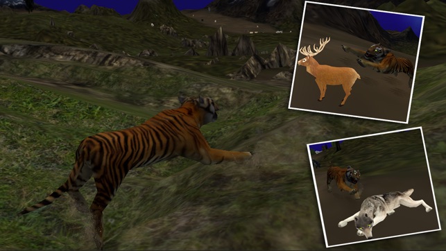 Hungry Wild Tiger 3D Simulator Game(圖3)-速報App