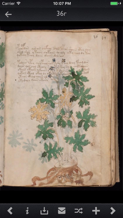 Voynich Manuscript Kit