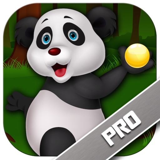 Jumping Bubble Panda Pro - Teach The Bear How To Shoot iOS App