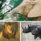 Top 20 Entertainment Apps Like African Zoo - Best Alternatives