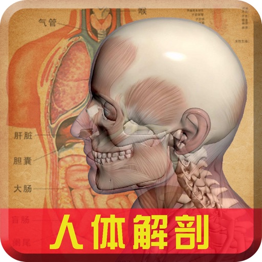 人体解剖-医学名师基础知识宝典视频教程 icon