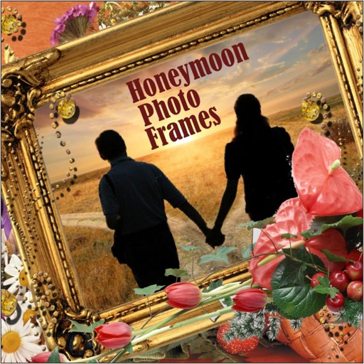 Honeymoon Photo Frames Awesome Lovely Couples Pics