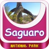 Saguaro National Park United States