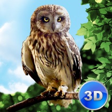 Activities of Forest Owl Simulator Full - Be a wild bird!