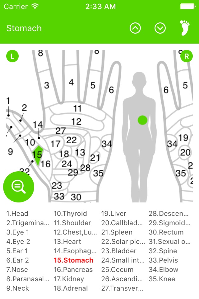 Reflexology Chart (Foot & Hand) screenshot 4