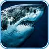 Flying Jumpy Shark Hunting Ultimate Adventure Pro