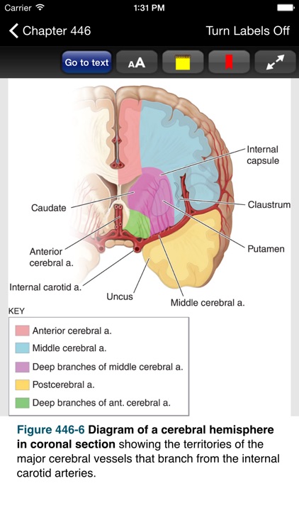 Harrison's Principles of Internal Medicine, 19/E screenshot-3
