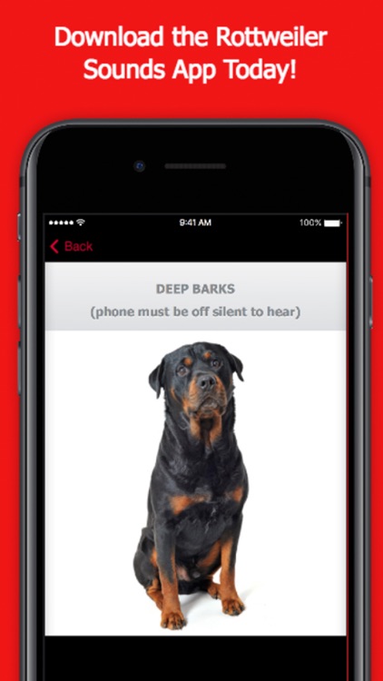 Rottweiler Dog Sounds & Barking App screenshot-3