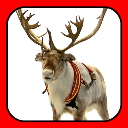 ReindeerCam - Watch Santa's Reindeer & More! icon