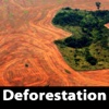 Deforestation Study