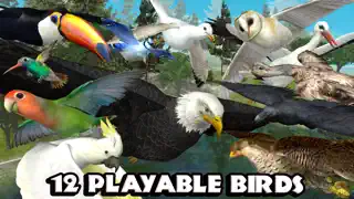 Ultimate Bird Simulator - Screenshot 3