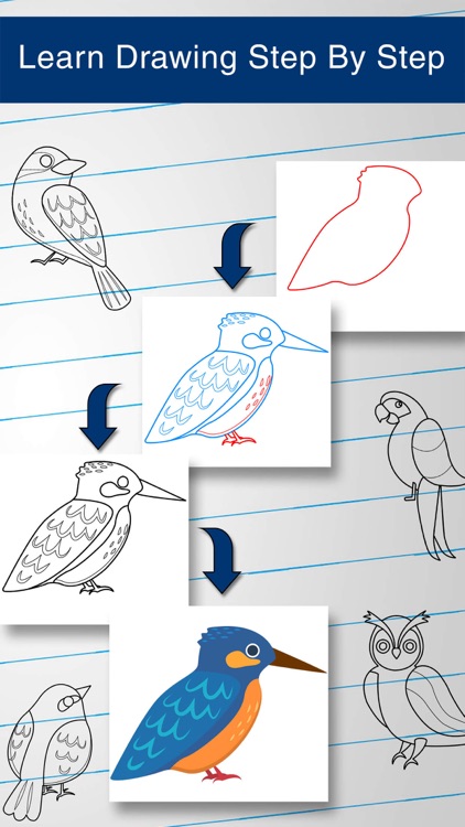 Wallpaper leaves, branch, cuckoo images for desktop, section животные -  download