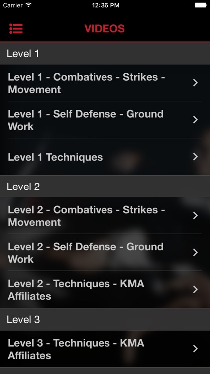 Krav Maga Pro screenshot-4