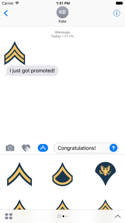 Military Rank Stickers